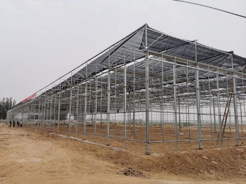 玻璃溫室的優點有哪些？