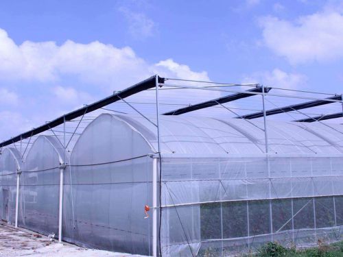 連棟薄膜溫室